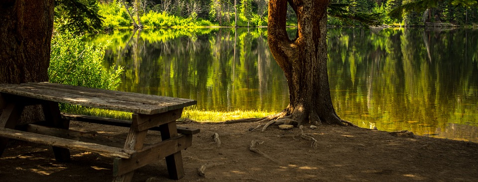 schattiger Platz unter Bäumen am Seeufer