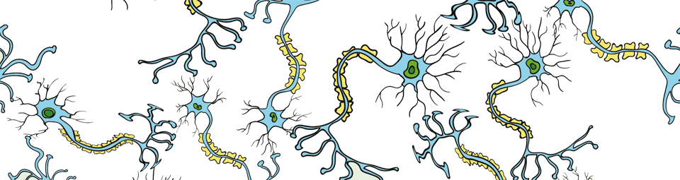 Nerven, Credit: Shutterstock