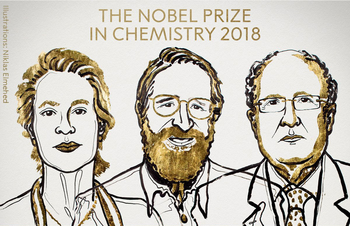 Chemie-Nobelpreisträger 2018: Frances H. Arnold, George P. Smith , Sir Gregory P. Winter, MLA style: The Nobel Prize in Chemistry 2018. NobelPrize.org. Nobel Media AB 2018. Fri. 5 Oct 2018