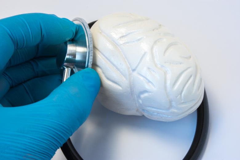 Symbolbild Gehirn: Gehirn aus Kunststoff wird mit Stethoskop untersucht, Credit: Ivan Shidlovski