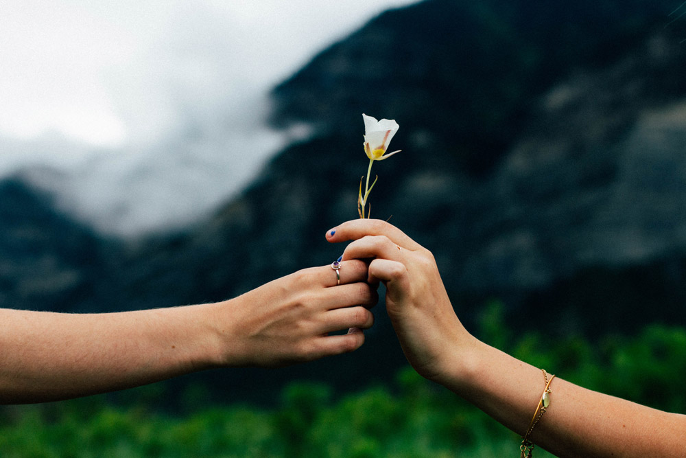 Frau schenkt anderer Frau eine weiße Blume, Credit: Evan Kirby, Unsplash