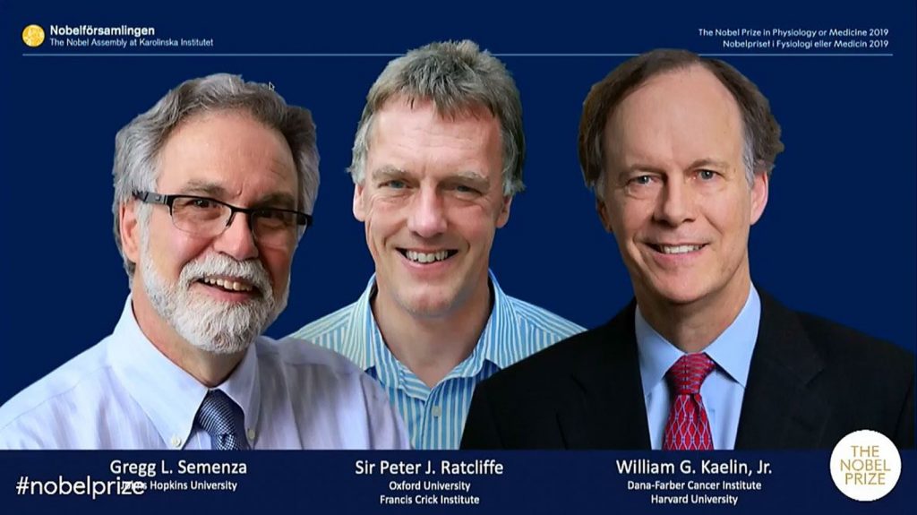 Die Preisträger 2019 von links: Gregg L. Semenza, Peter J. Ratcliffe und William G. Kaelin Jr.