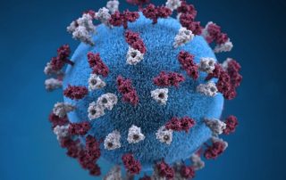 Grafische 3D-Darstellung eines mit Glykoprotein-Tuberkeln besetzten Masernvirus-Partikels. Credit: Public Health Image Library from the Centers for Disease Control and Prevention (CDC)