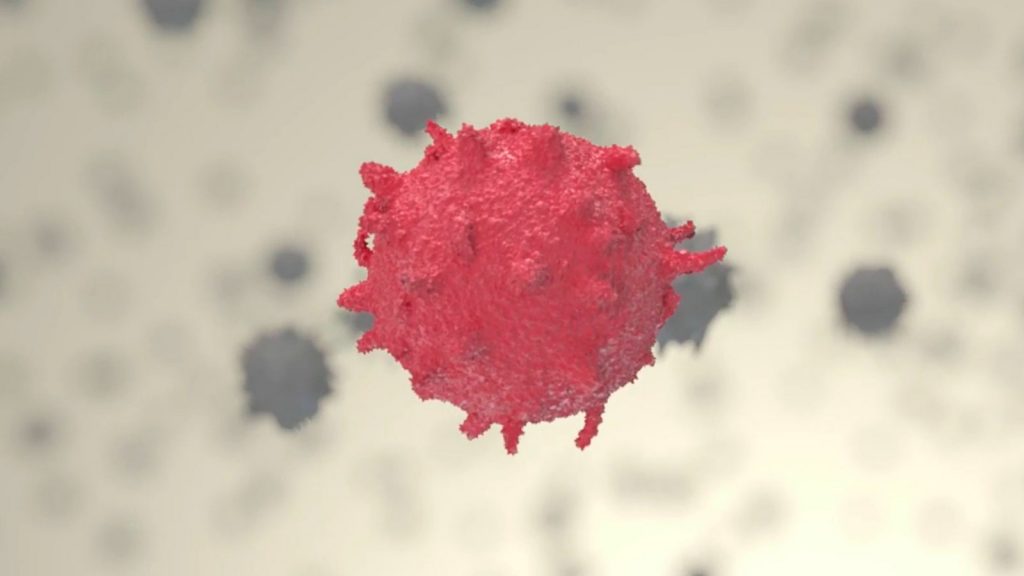 Th17-Immunzellen spielen eine wesentliche Rolle bei der Entstehung und Erhaltung von Autoimmunerkrankungen. Credit: Luís Almeida und Ayesha Dhillon-LaBrooy (Universitätsmedizin Mainz)