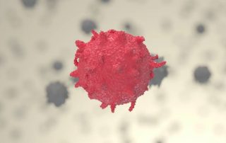 Th17-Immunzellen spielen eine wesentliche Rolle bei der Entstehung und Erhaltung von Autoimmunerkrankungen. Credit: Luís Almeida und Ayesha Dhillon-LaBrooy (Universitätsmedizin Mainz)